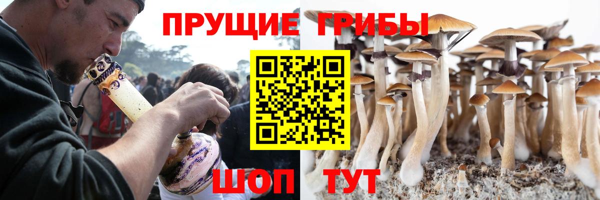 Домодедово  Галлюциногенные грибы прущие грибы  Вход с VPN 